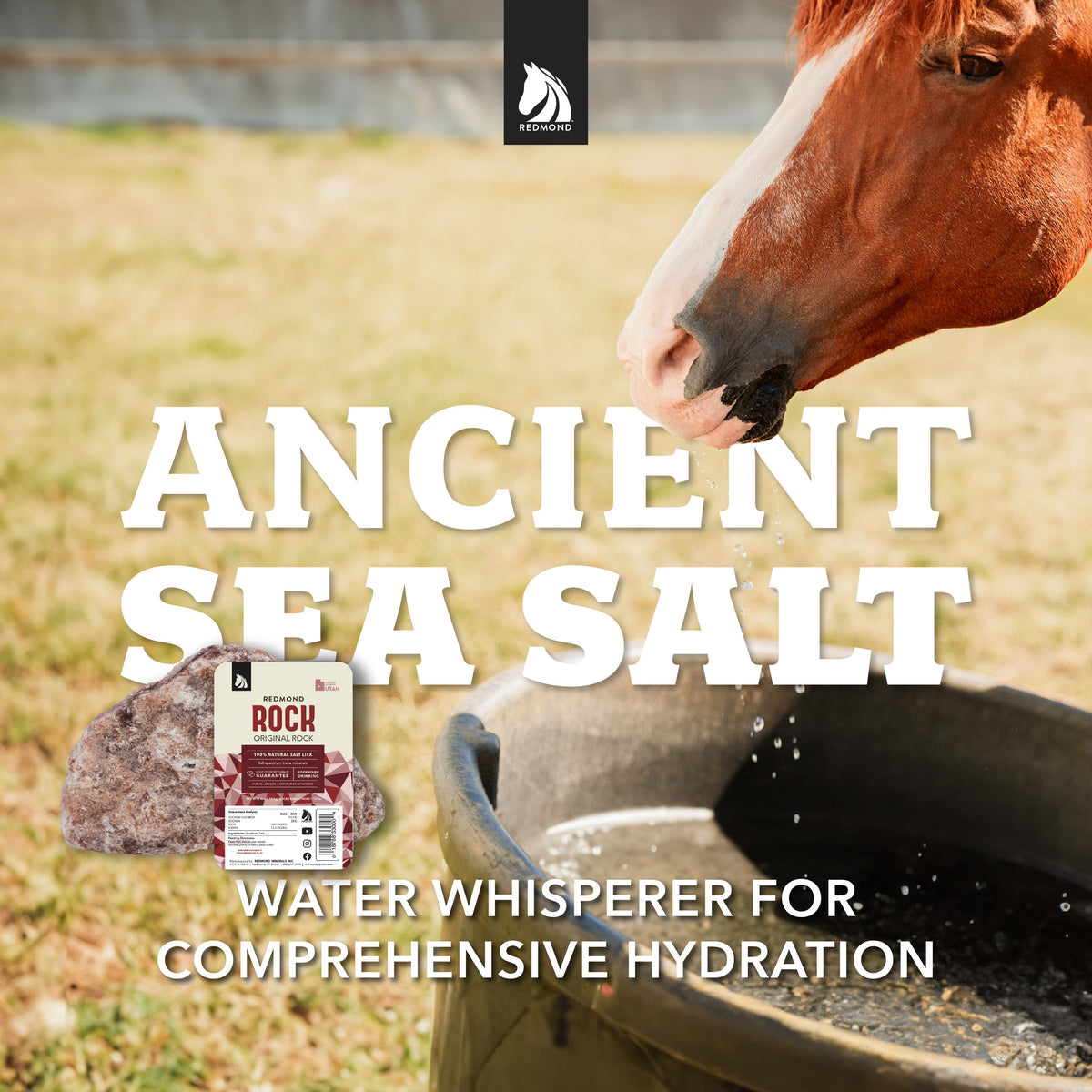 Redmond Rock® Mined Horse Salt Lick Redmond Equine