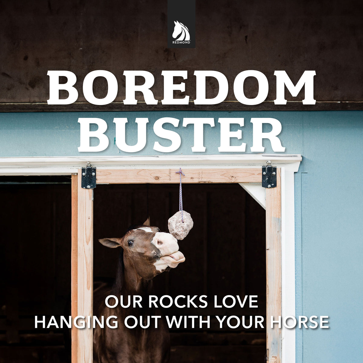 Redmond Rock® Mined Horse Salt Lick Redmond Equine