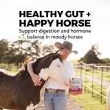 Daily Gold® Mood Support - Horse Gut Supplement