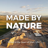 Daily Gold® Mood Support - Horse Gut Supplement