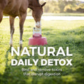 Daily Gold® Mood Support - Horse Gut Supplement