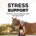 Daily Gold® Mood Support - Horse Gut Supplement