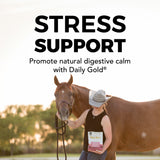 Daily Gold® Mood Support - Horse Gut Supplement