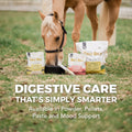 Daily Gold® Mood Support - Horse Gut Supplement