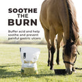 Daily Gold® - Horse Gut Supplements