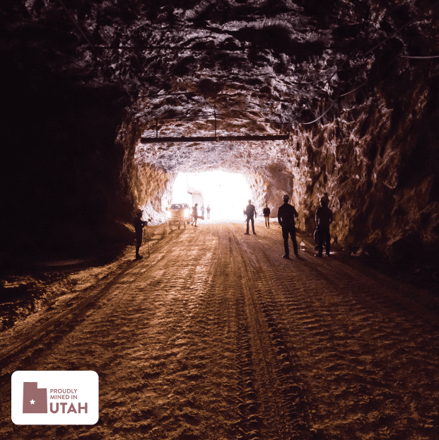 People standing in a tunnel at the Redmond salt mine, where mineral supplements for horses are mined.