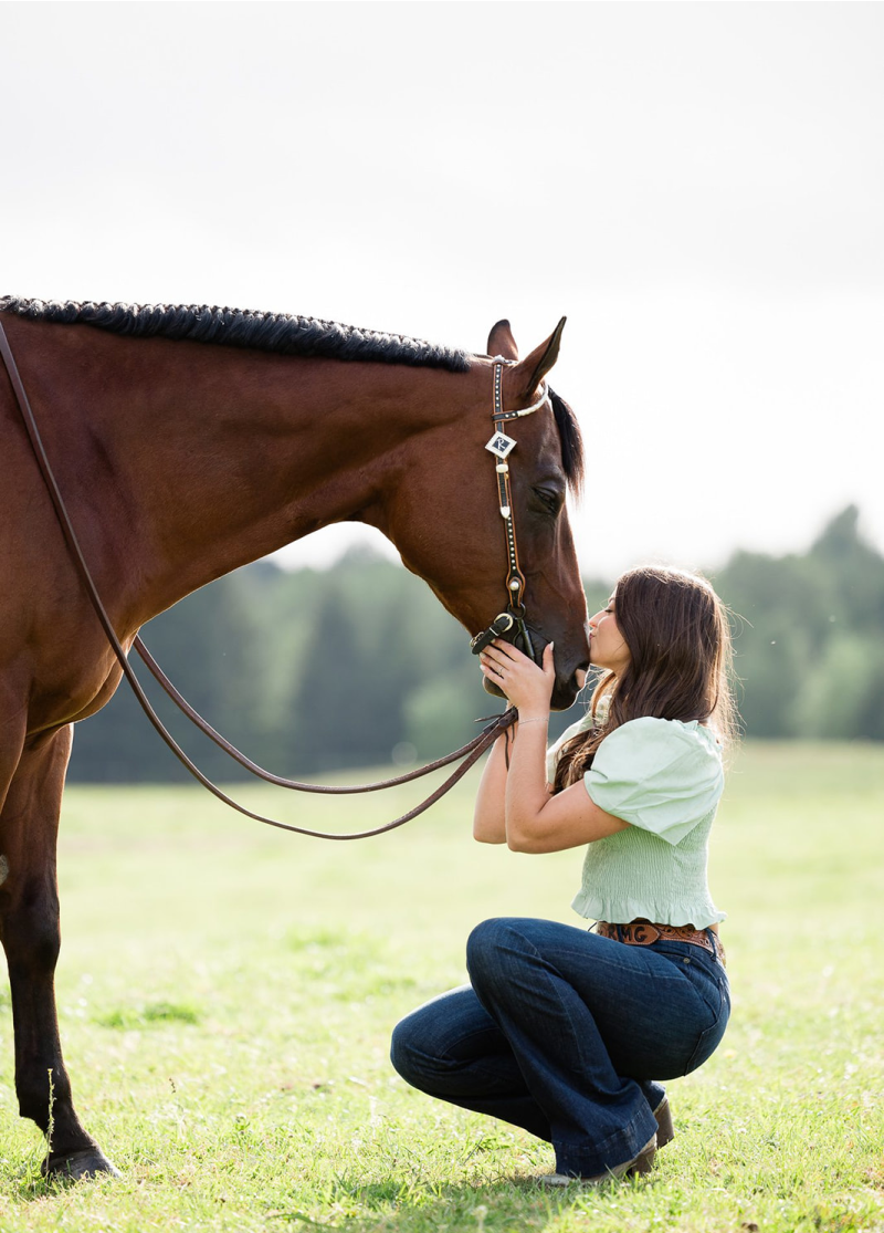 Equine Image