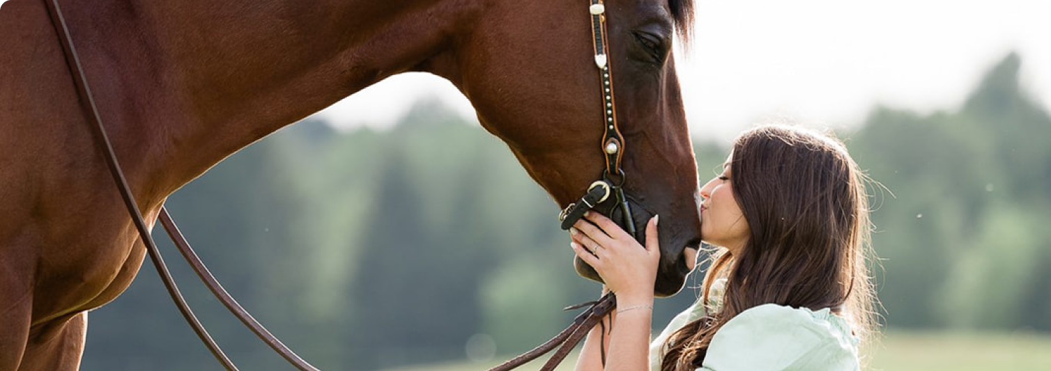Equine Image
