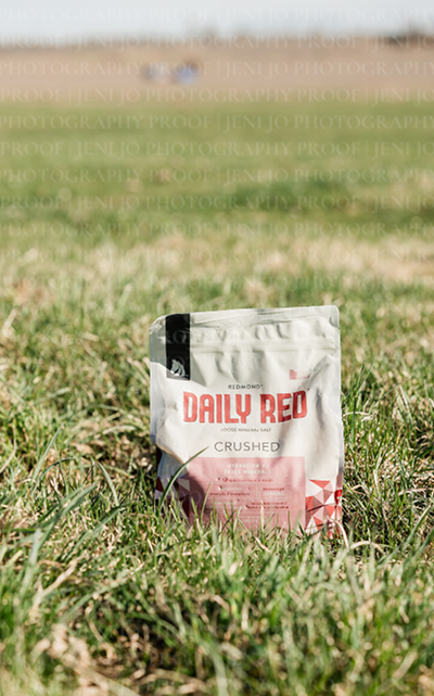 Dialy Red Product Image