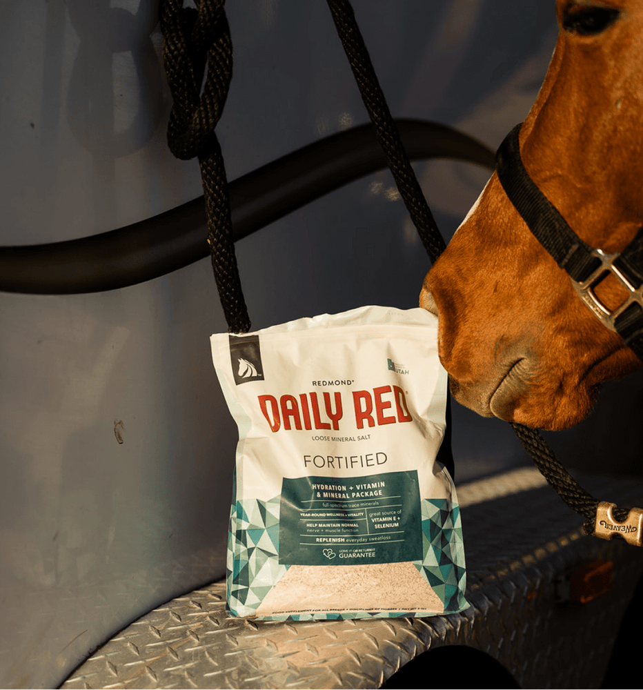 A brown horse near a horse trailer and bag of Redmond Daily Red Fortified equine loose minerals.