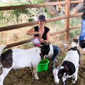 Goat Mineral