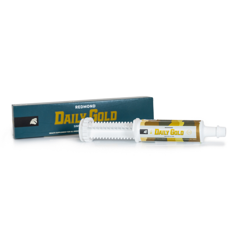 Daily Gold® Syringe - Digestive Stress Relief Horse Paste