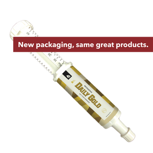 Daily Gold® Syringe - Digestive Stress Relief Horse Paste