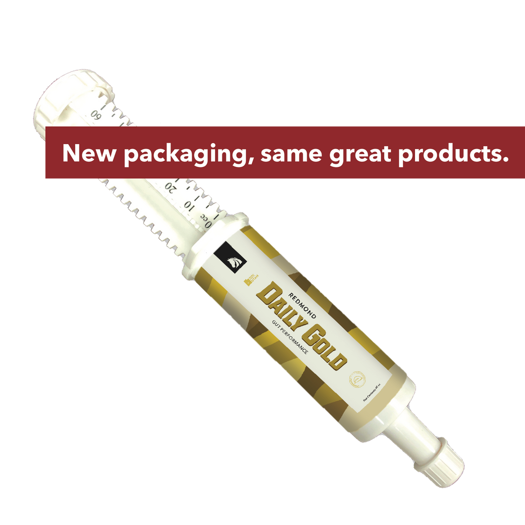 Daily Gold® Syringe - Digestive Stress Relief Horse Paste