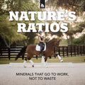 Daily Red® Crushed™ Garlic - Mineral Supplement for Horses