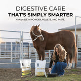 Daily Gold® - Horse Gut Supplements