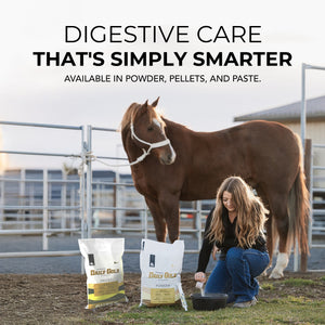 Daily Gold® Syringe - Digestive Stress Relief Horse Paste