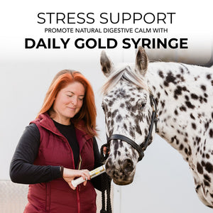 Daily Gold® Syringe - Digestive Stress Relief Horse Paste