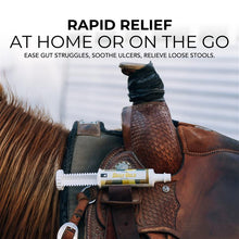 Daily Gold® Syringe - Digestive Stress Relief Horse Paste