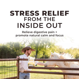 Daily Gold® - Horse Gut Supplement