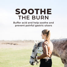 Daily Gold® - Horse Gut Supplement