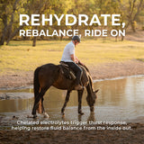 IsoBalance - Horse Electrolyte Paste