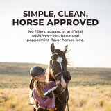 IsoBalance - Horse Electrolyte Paste