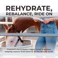 IsoBalance - Horse Electrolyte Paste