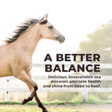 Daily Red® Crushed™ Garlic - Mineral Supplement for Horses