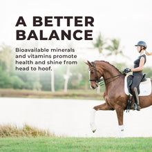 Load image into Gallery viewer, Daily Red® Fortified Garlic - Horse Vitamin &amp; Mineral Supplement