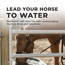 Load image into Gallery viewer, Daily Red® Crushed™ - Mineral Supplement for Horses