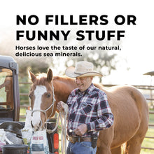 Load image into Gallery viewer, Daily Red® Fortified - Vitamin &amp; Mineral Supplement For Horses