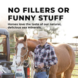 Daily Red® Fortified - Vitamin & Mineral Supplement For Horses