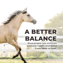 Load image into Gallery viewer, Daily Red® Fortified - Vitamin &amp; Mineral Supplement For Horses
