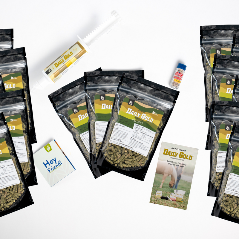 Daily Gold® - Horse Gut Supplements