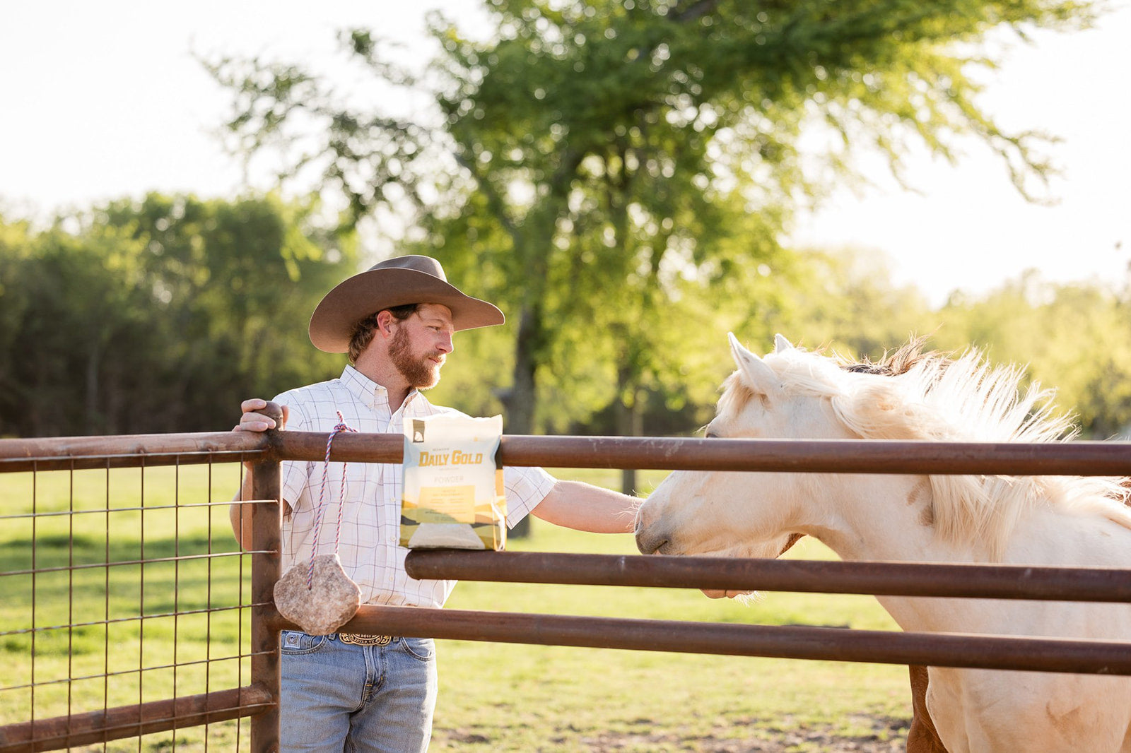 A man stands behind a metal fence beside a white horse. A bag of Redmond Daily Gold horse gut supplement sits on the fence rail.