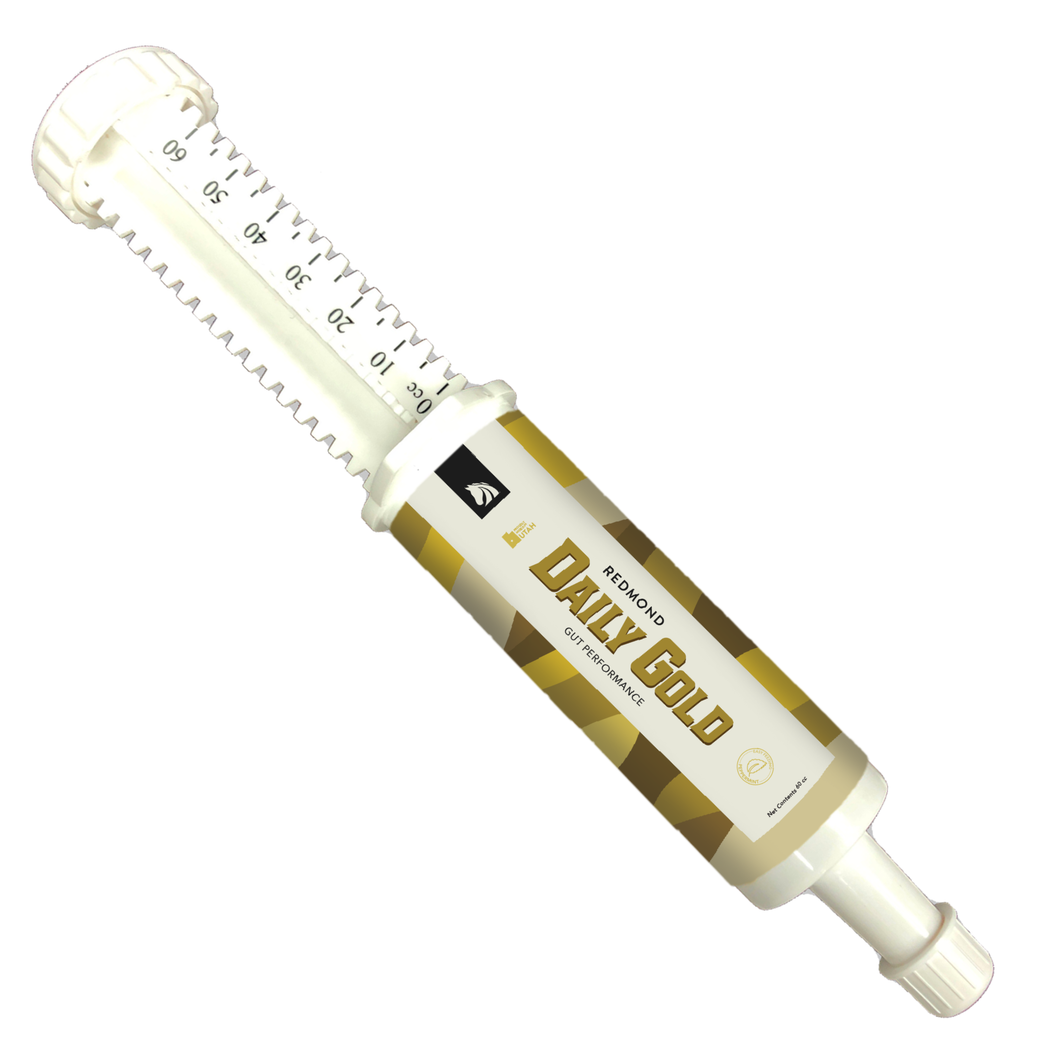 Daily Gold® Syringe - Digestive Stress Relief Horse Paste