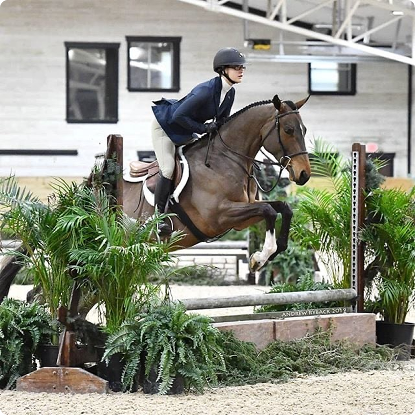 Rebecca Morris, a hunter-jumper English rider jumps over a fence with her horse.