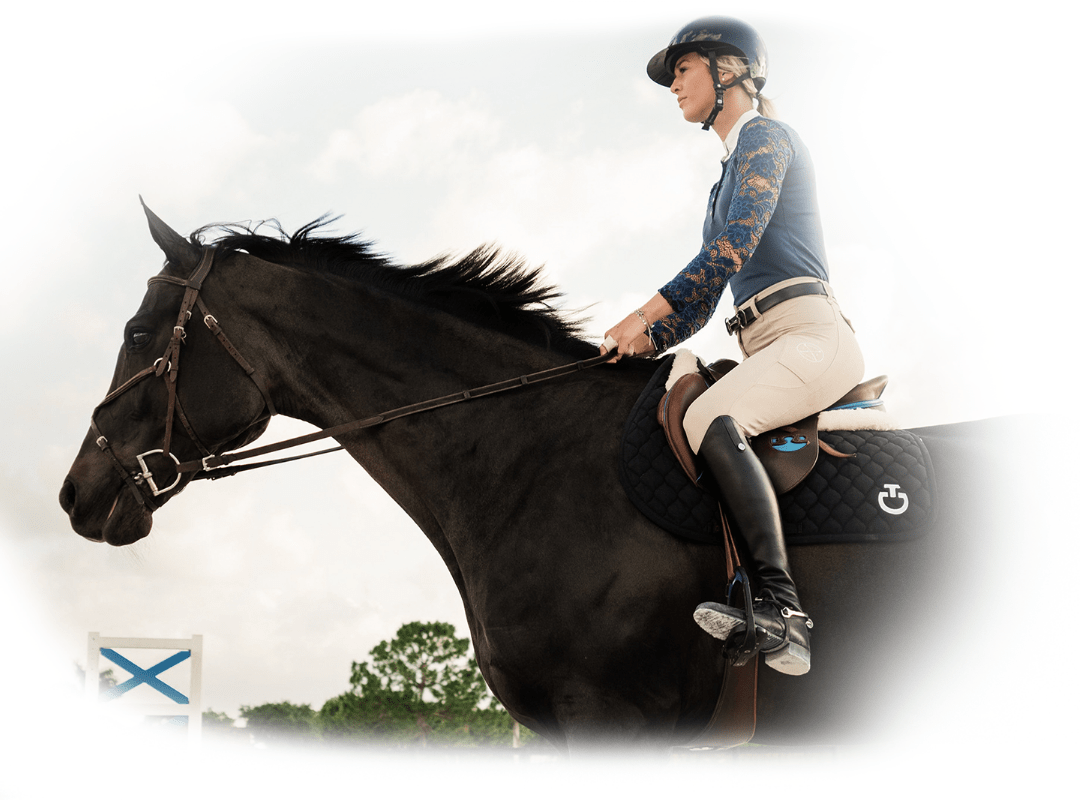 Equine image showcasing Athlete