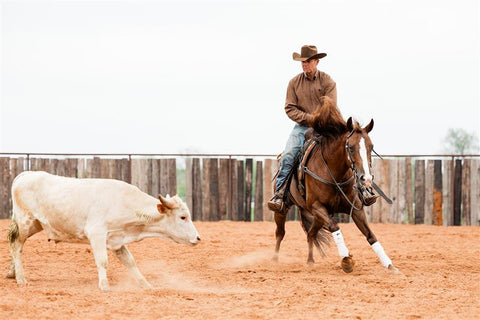 An English-style horse and rider in the Redmond equine affiliate program for athletes.