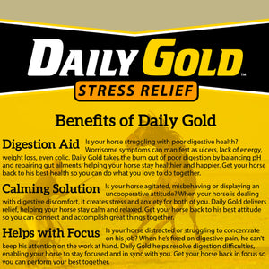 Daily Gold® Syringe - Digestive Stress Relief Horse Paste